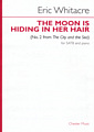 the moon is hiding in her hair (The City and the Sea No.2)