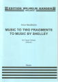Music to two fragments to music by Shelley