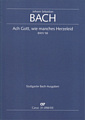 Kantate 58 Ach Gott, wie manches Herzeleid