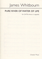 Pure River of Water of Life