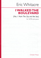 i walked the boulevard (The City and the Sea No.1)