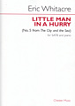little man in a hurry (The City and the Sea No.5)