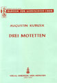 3 Motetten Op.22d